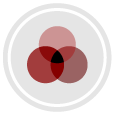 Print Icon