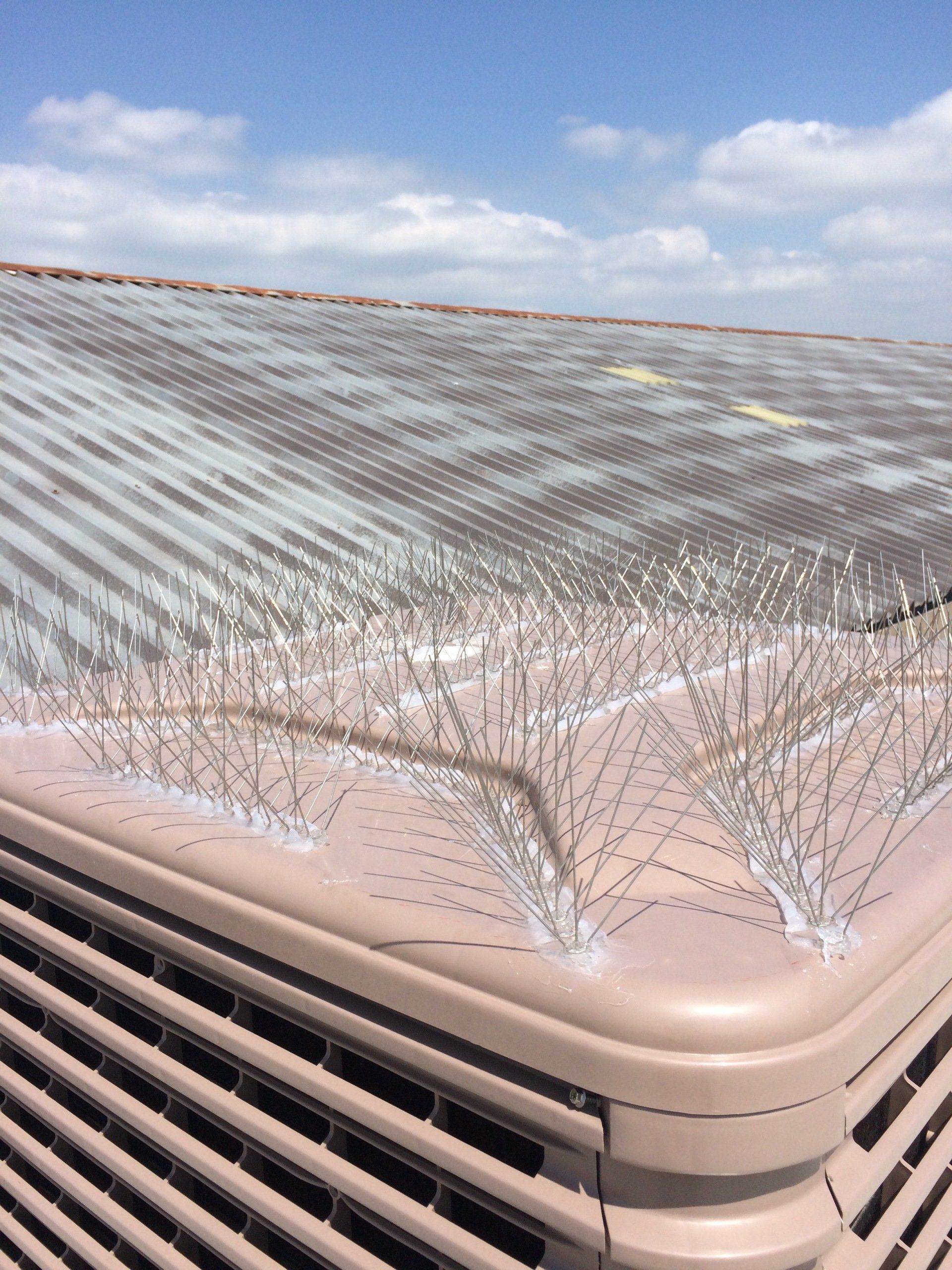 Bird Proofing