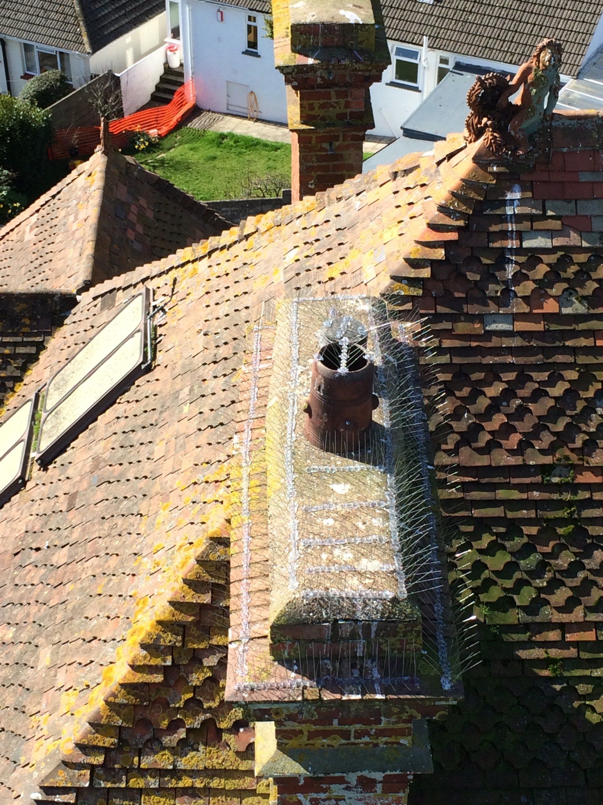 Bird Proofing
