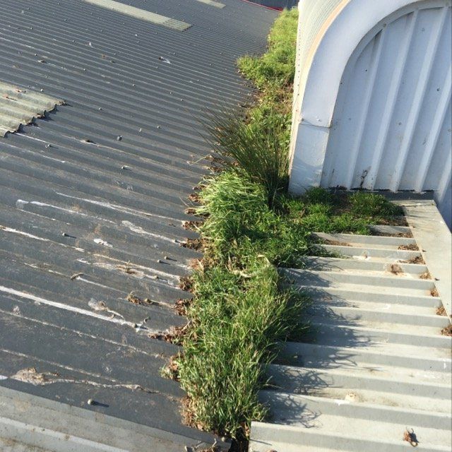 Roof Cleans