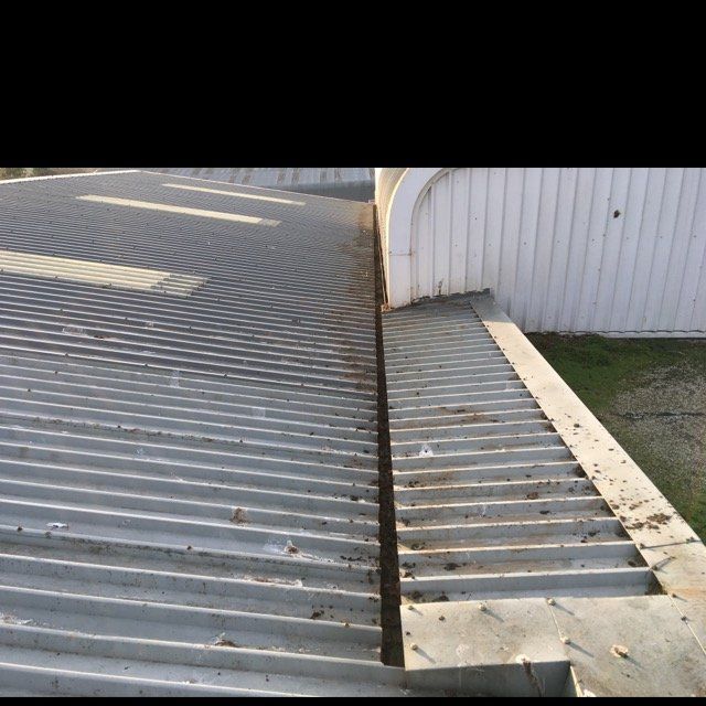 Roof Cleans