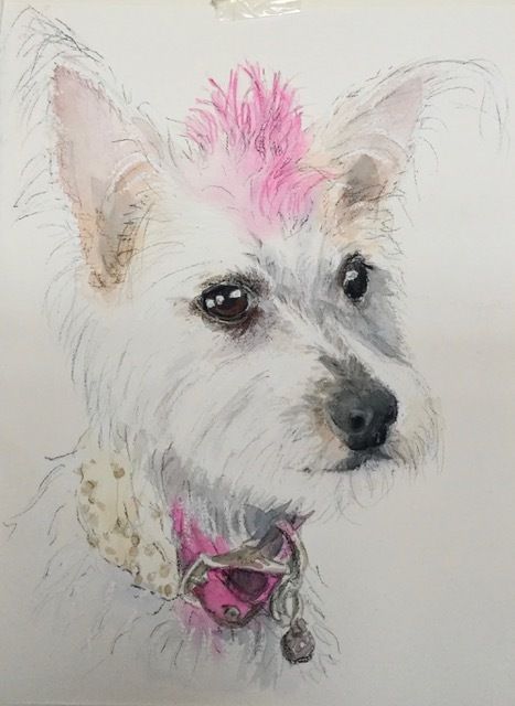 Styled Dog — Pet Portraiture in Rapid Crook, NT Styled Dog — Pet Portraiture in Rapid Crook, NT