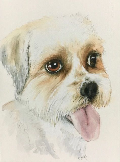 Dog Portrait — Pet Portraiture in Rapid Crook, NT Dog Portrait — Pet Portraiture in Rapid Crook, NT