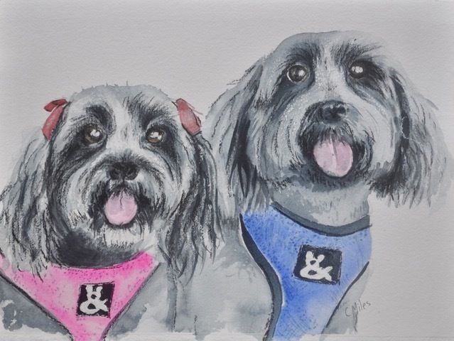 Pet Drawing — Pet Portraiture in Rapid Crook, NT Pet Drawing — Pet Portraiture in Rapid Crook, NT