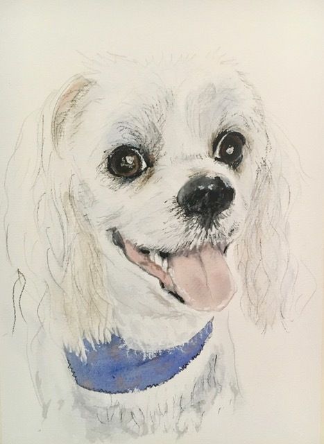 Smiling Dog — Pet Portraiture in Rapid Crook, NT Smiling Dog — Pet Portraiture in Rapid Crook, NT