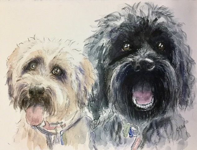 Two Dogs — Pet Portraiture in Rapid Crook, NT Two Dogs — Pet Portraiture in Rapid Crook, NT