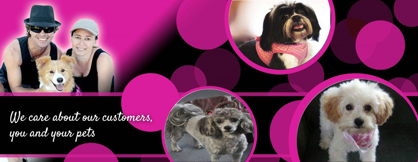 Plush Pets Stylists — Pet Stylist in Rapid Crook, NT