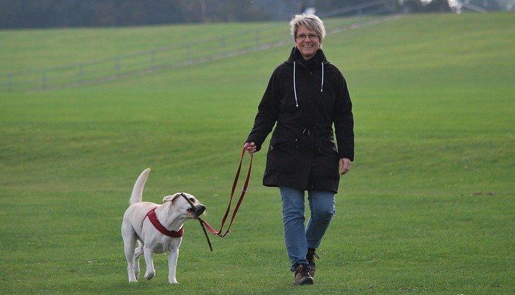 Dog Walker in La Crosse, WI