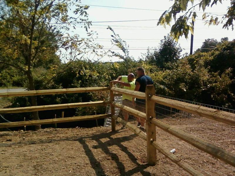 Wood Fence for Backyard — Toledo, OH — Patriot Fence