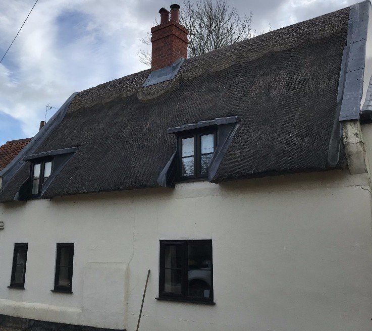 thatched roof building