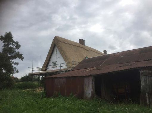 clients thatch roof