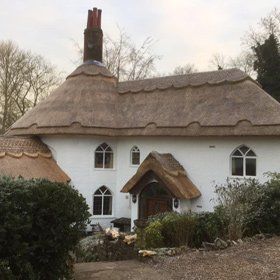 tahtch roof for home