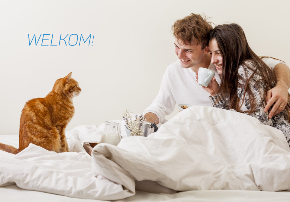 Gelukkig nieuwjaar voor je kat