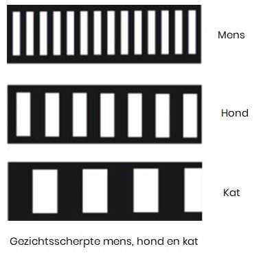 Gezichtsscherpte mens hond en kat