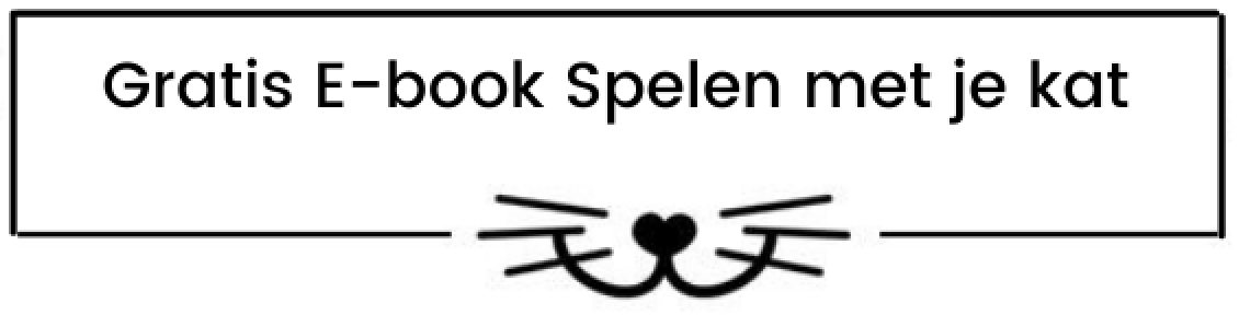 Link naar gratis E-book spelen met je kat