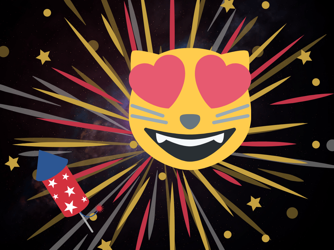 herconditioneren vuurwerk kattengedrag