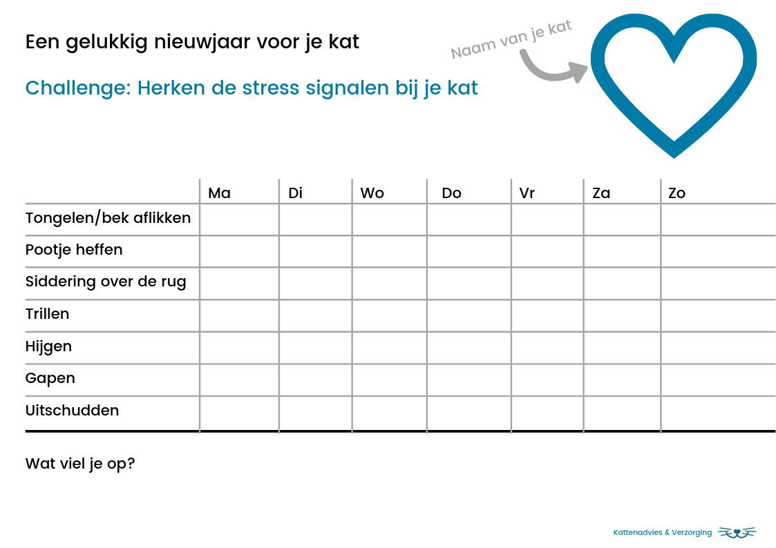 Herken de stress signalen bij je kat