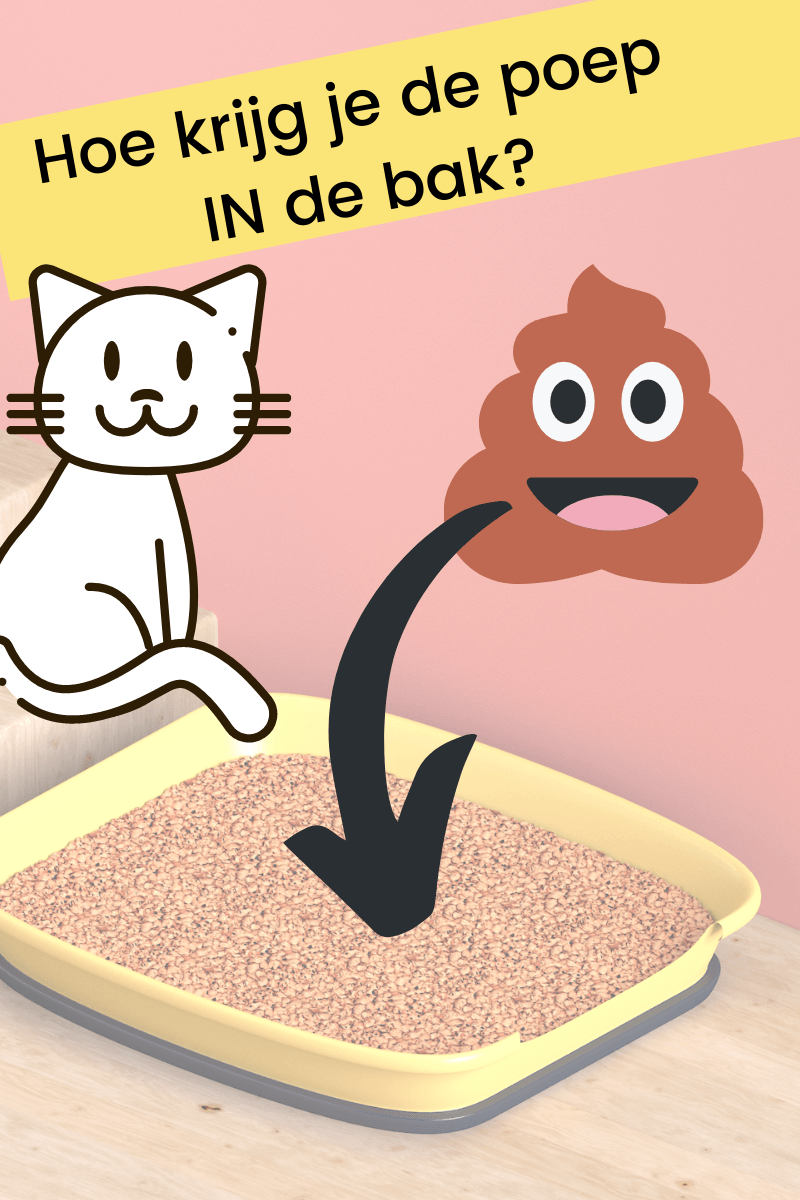 hoe krijg je de poep in de kattenbak