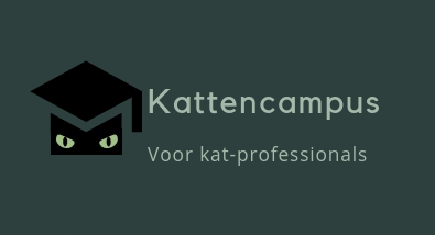 Kattenoppas aan huis