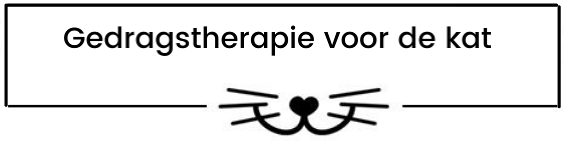 link naar pagina gedragstherapie voor de kat