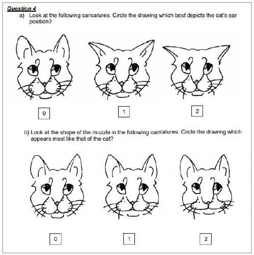 Glasgow Feline Composite Measure Pain Scale Pijnscore systeem