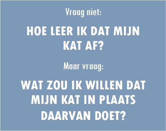 vraag niet: hoe leer ik dat mijn kat af? maar vraag: Wat zou ik willen dat mijn kat in plaats daarvan doet!