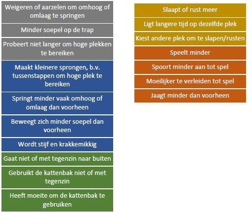 Gedragingen ter evaluatie door eigenaar van chronische pijn aan het bewegingsapparaat