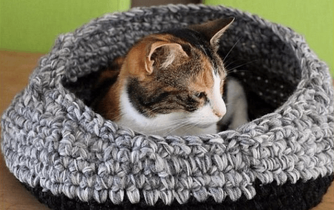 veilig plekje voor je kat