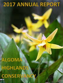 Yellow flowers with green leaves on the 2017 Annual Report cover for Algoma Highlands Conservancy