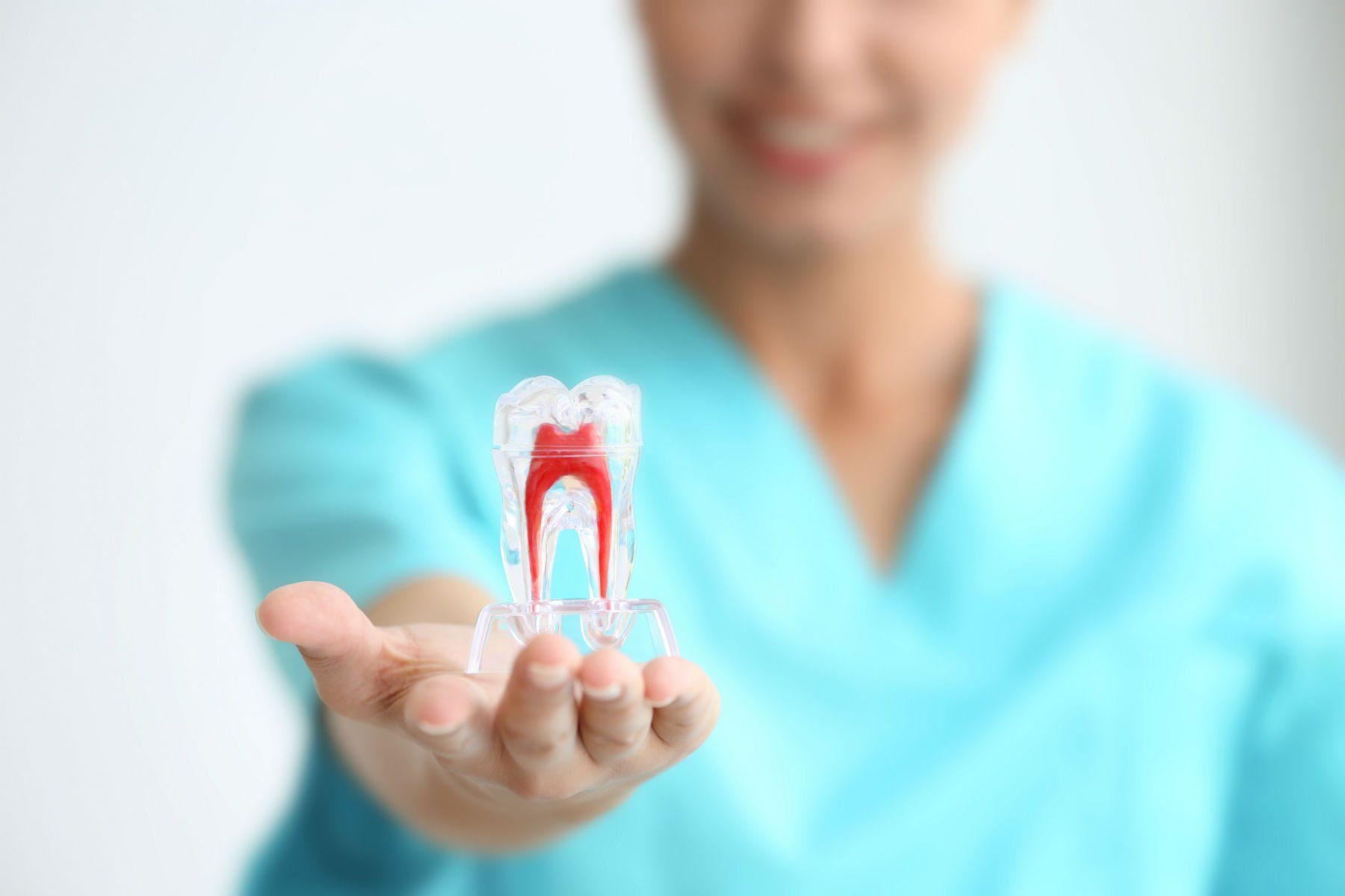 Un dente di plastica