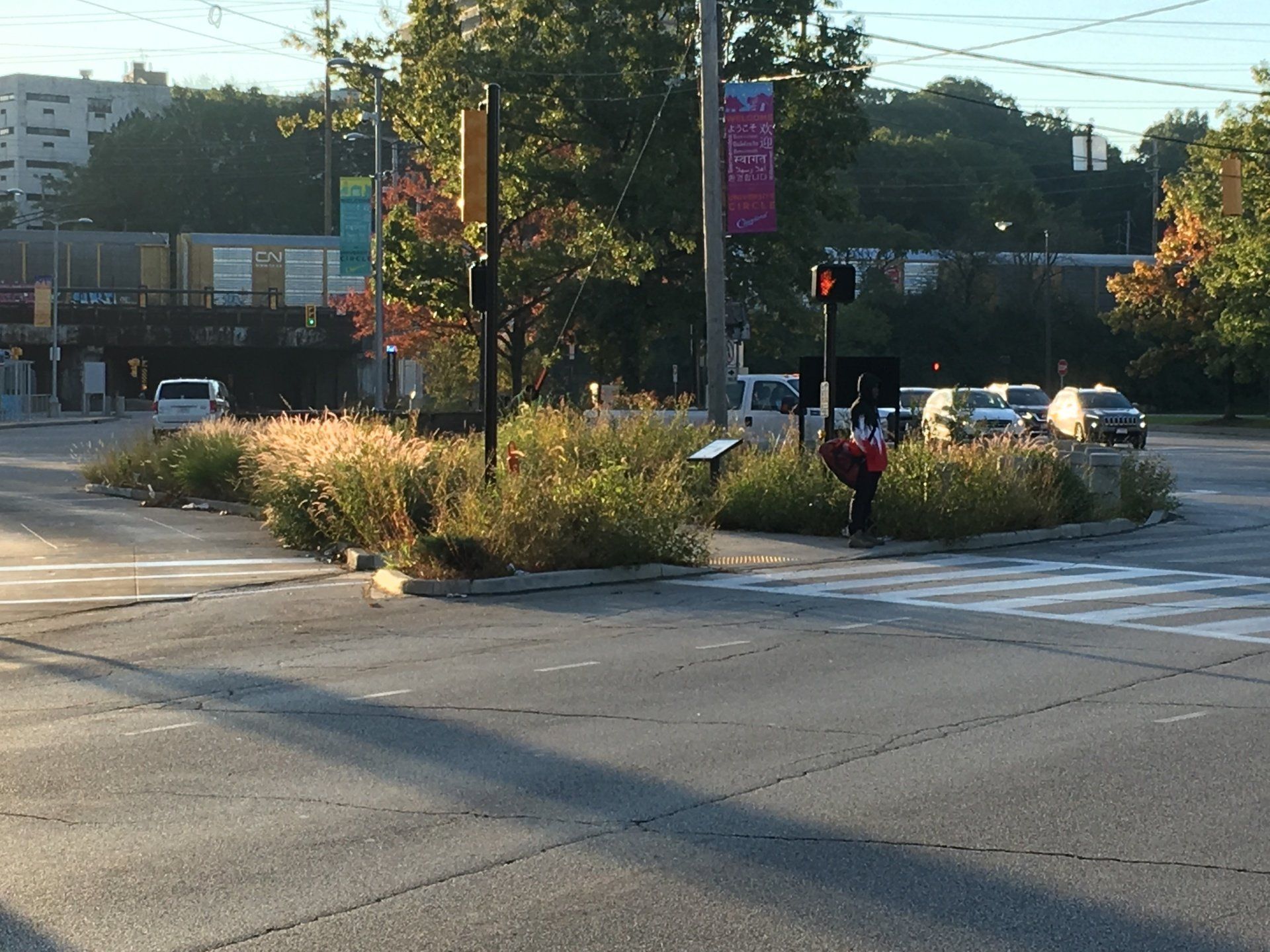 Carnegie/MLK - Bioretention Retrofit