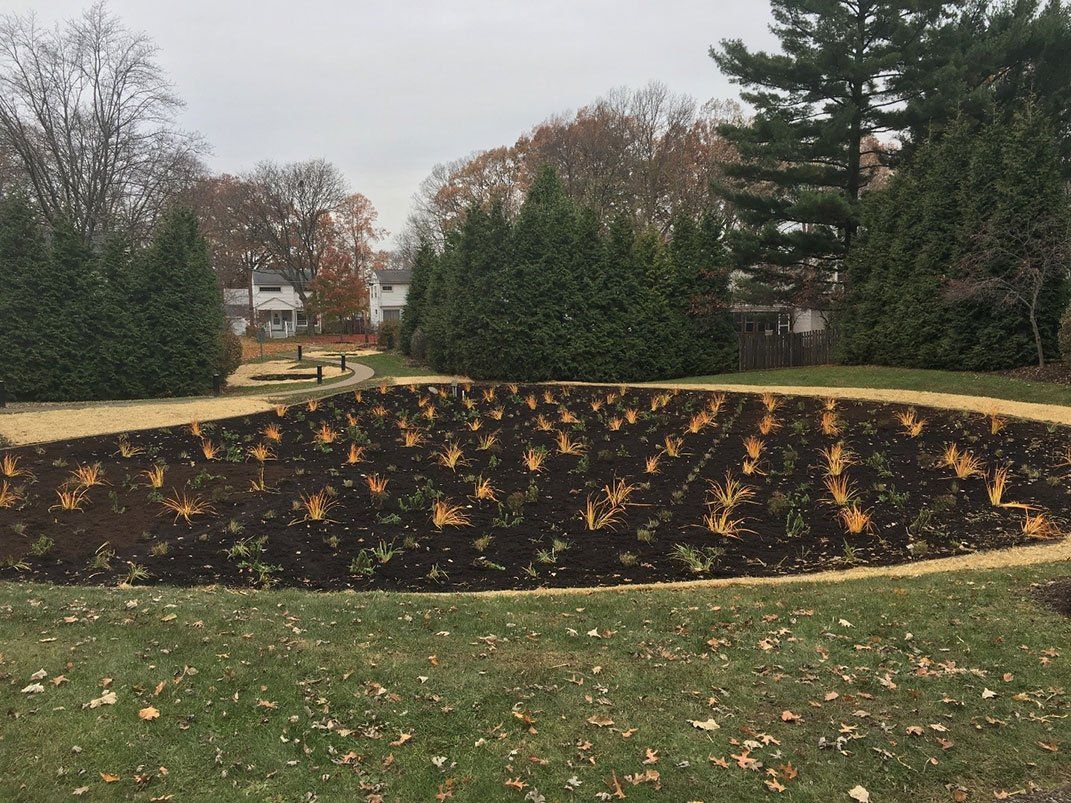 Rain Garden Reserve - Cuyahoga Falls