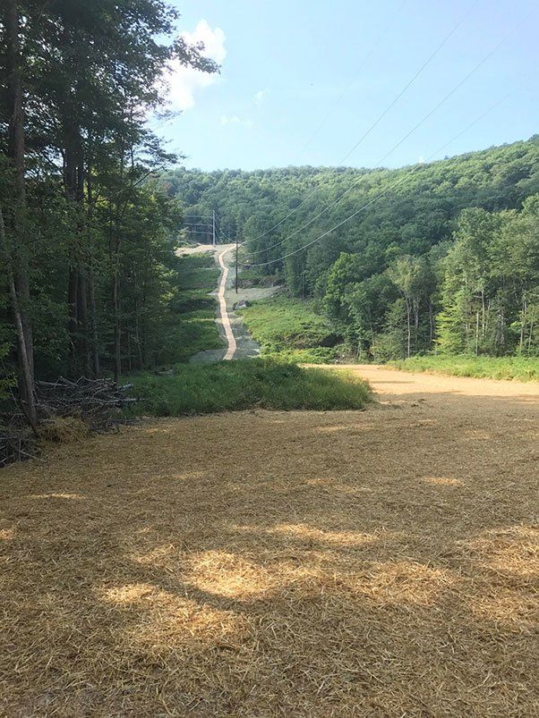 Erosion Control