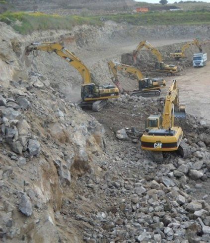 bobcat