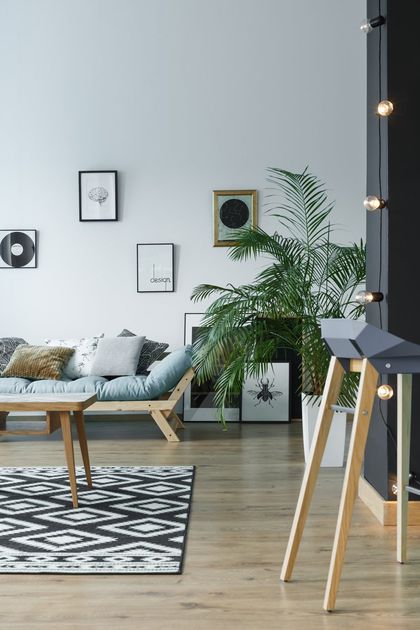 A modern living room with hardwood floors, artwork, and house plants in California