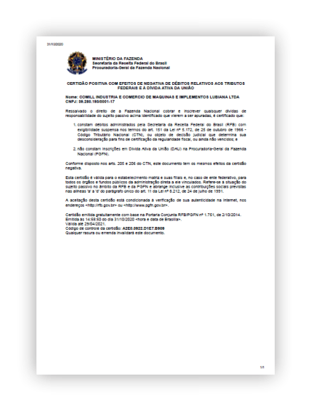 Documento com texto, logotipo e título sobre diretrizes estratégicas para programas.