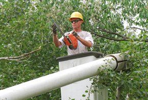 bucket truck services
