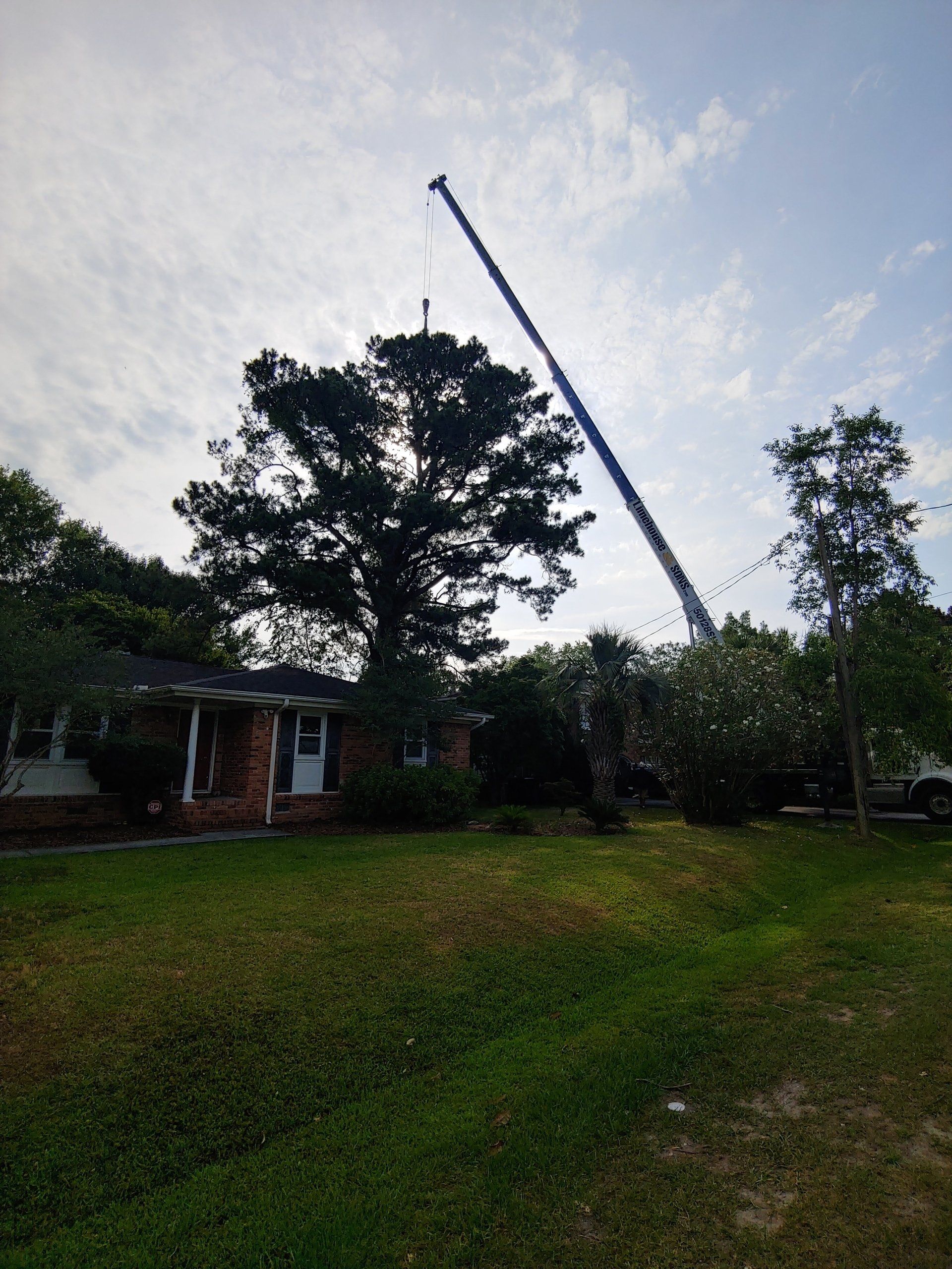 Tree Removal Summerville, Charleston & Mt. Pleasant, SC