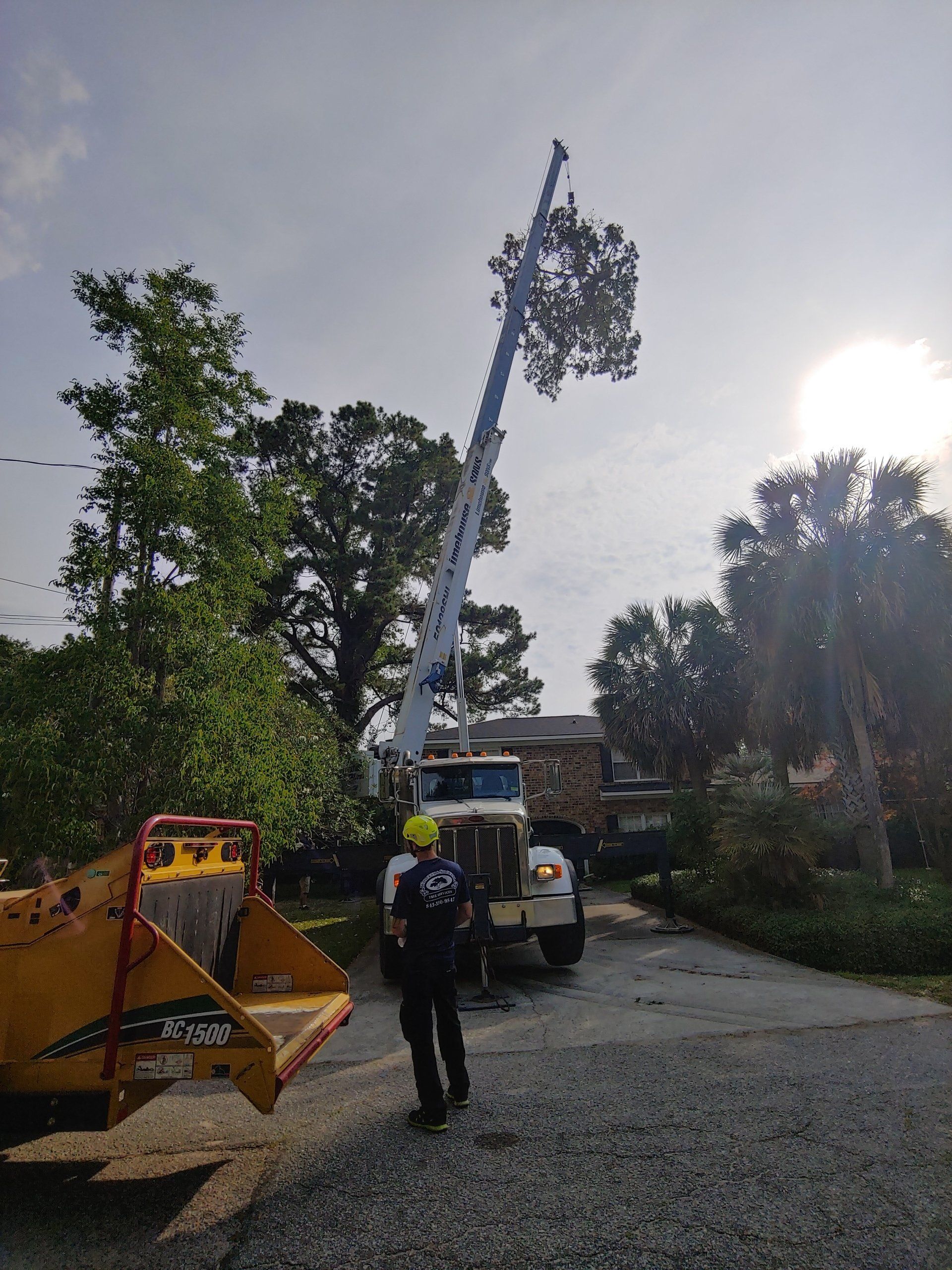 tree trimming truck