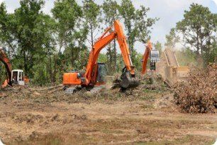 land clearing - Charleston, Summerville, Mt. Pleasant, Moncks Corner SC