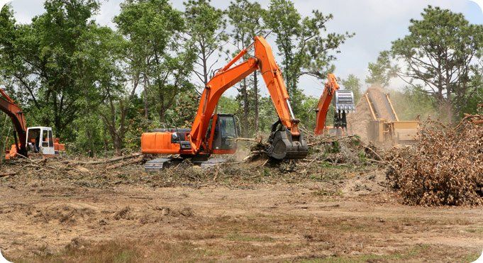 land clearing with a backhoe