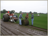 Grass construction — Kentucky Blue Grass in Crystal Lake, IL Grass construction — Kentucky Blue Grass in Crystal Lake, IL