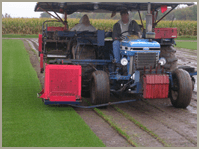 Landscape maintenance — Gardening Supply in Crystal Lake, IL Landscape maintenance — Gardening Supply in Crystal Lake, IL