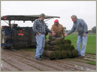 Landscaping — Lawn Care in Crystal Lake, IL Landscaping — Lawn Care in Crystal Lake, IL