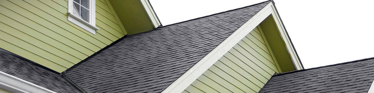saltbush roofing green and black roof