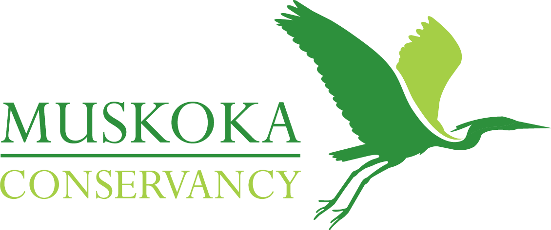 Muskoka Conservancy Logo Muskoka Conservancy Logo