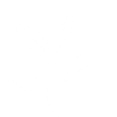 Join Muskoka Conservancy