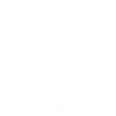 Donate to Muskoka Conservancy