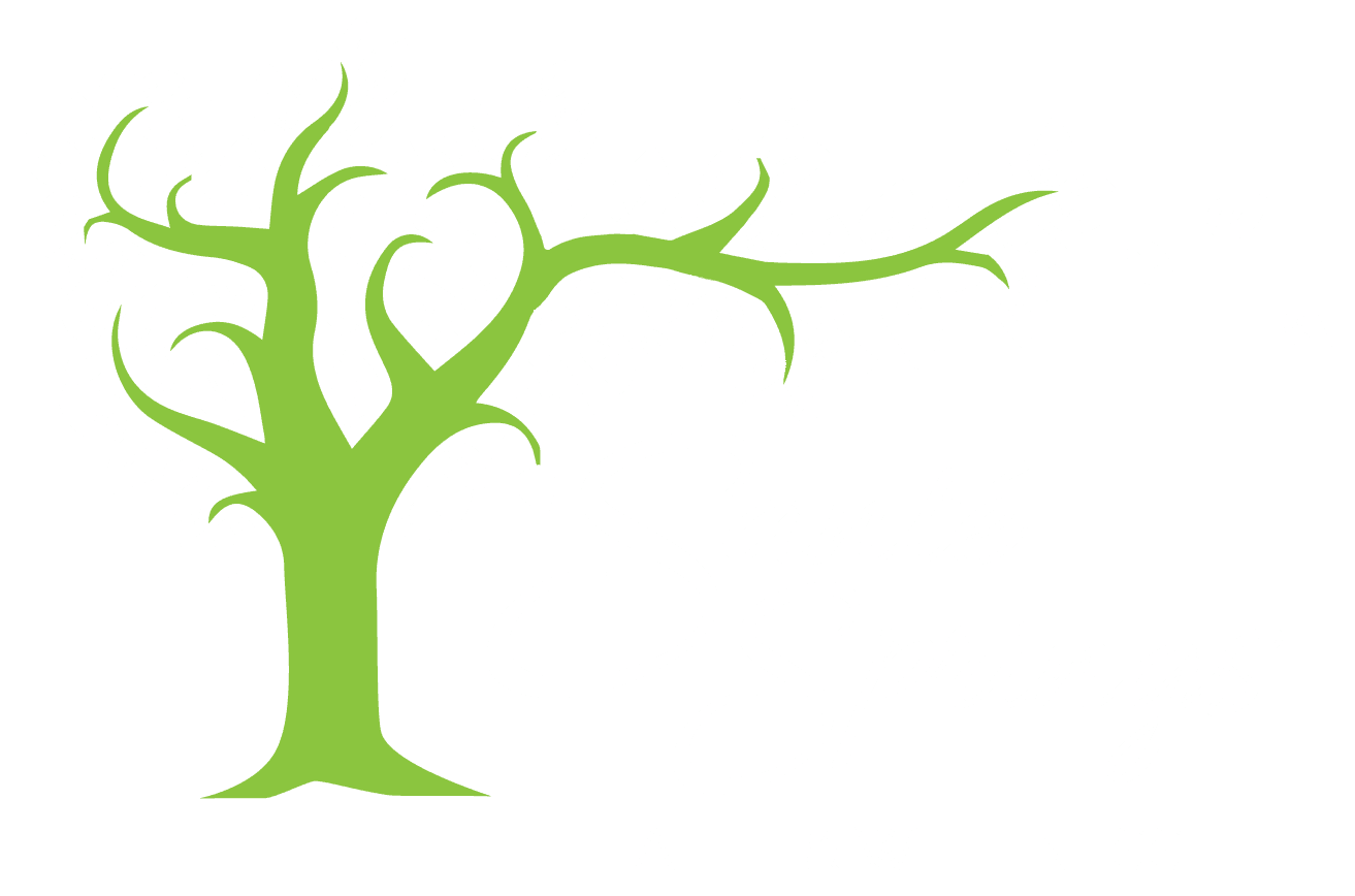 Sante Springs Sante Springs