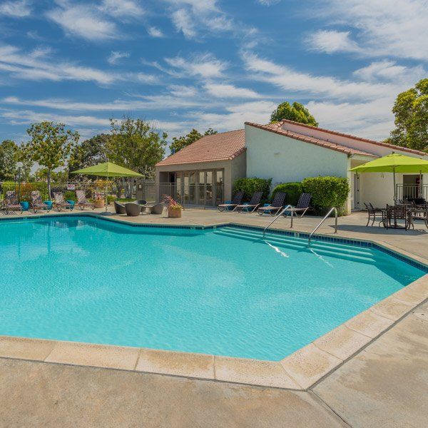 Pool Hidden Hills